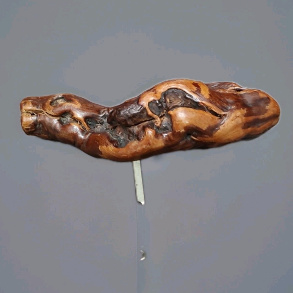 Grape Vine Root Wood Handle Corkscrew Knotty Burl Bar Unique Exotic Show Piece!